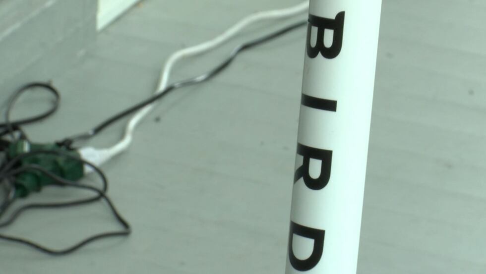 Bird began in Los Angeles, but has since appeared in many cities around the country (Source:...