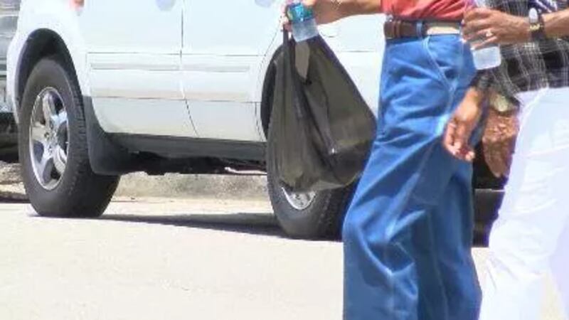 Businesses in Beaufort County will soon be forbidden from providing single-use plastic bags to...