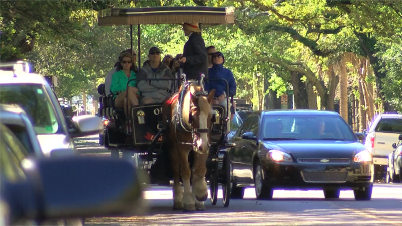 Horse carriage tour guides are required to have a license to work.
