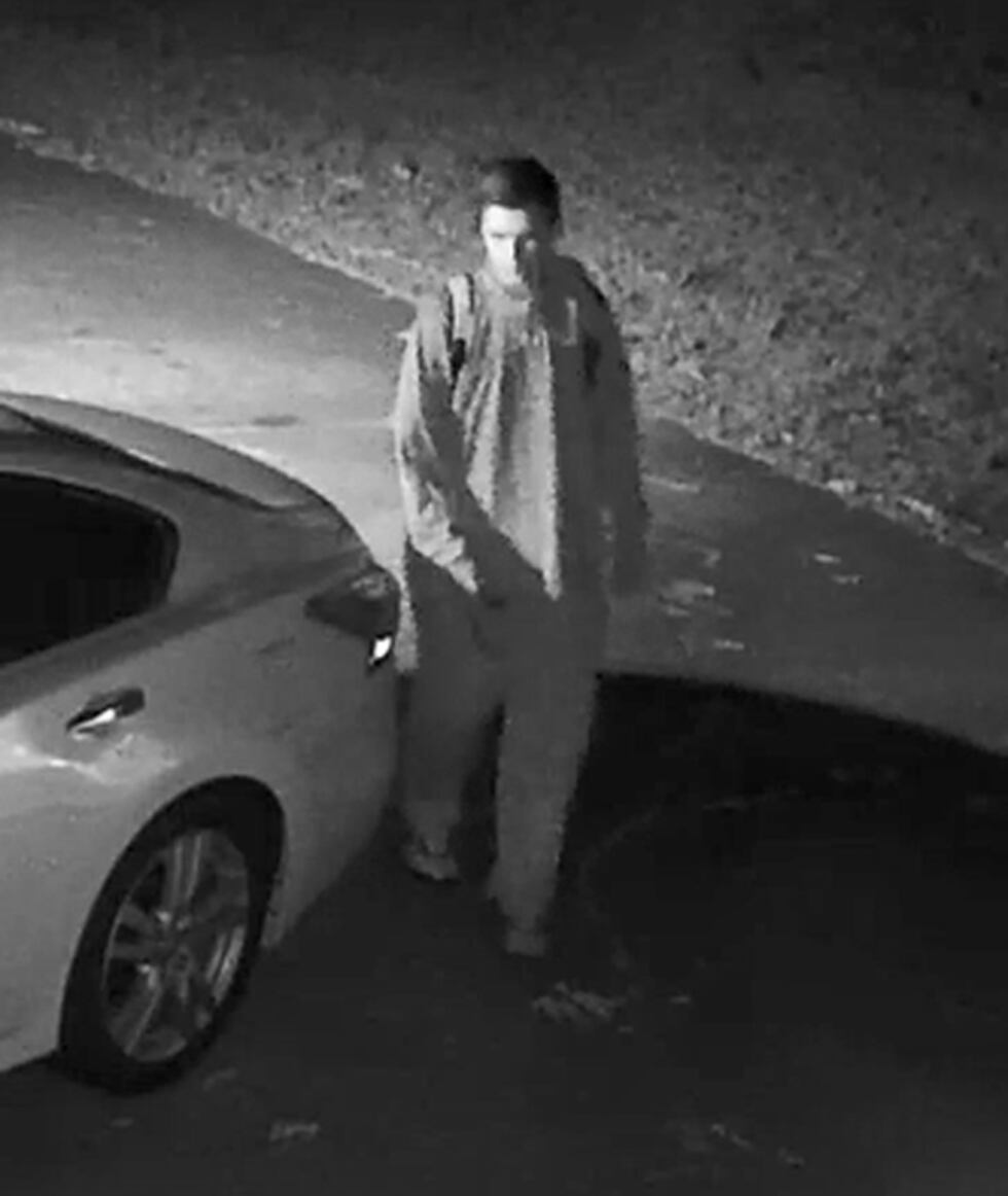 Picture of the suspect. (Source: DCSO)