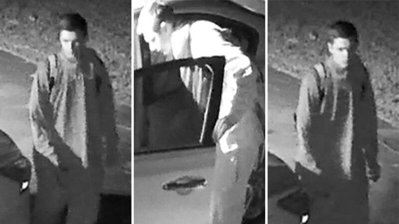 Pictures of the suspect. (Source: DCSO)