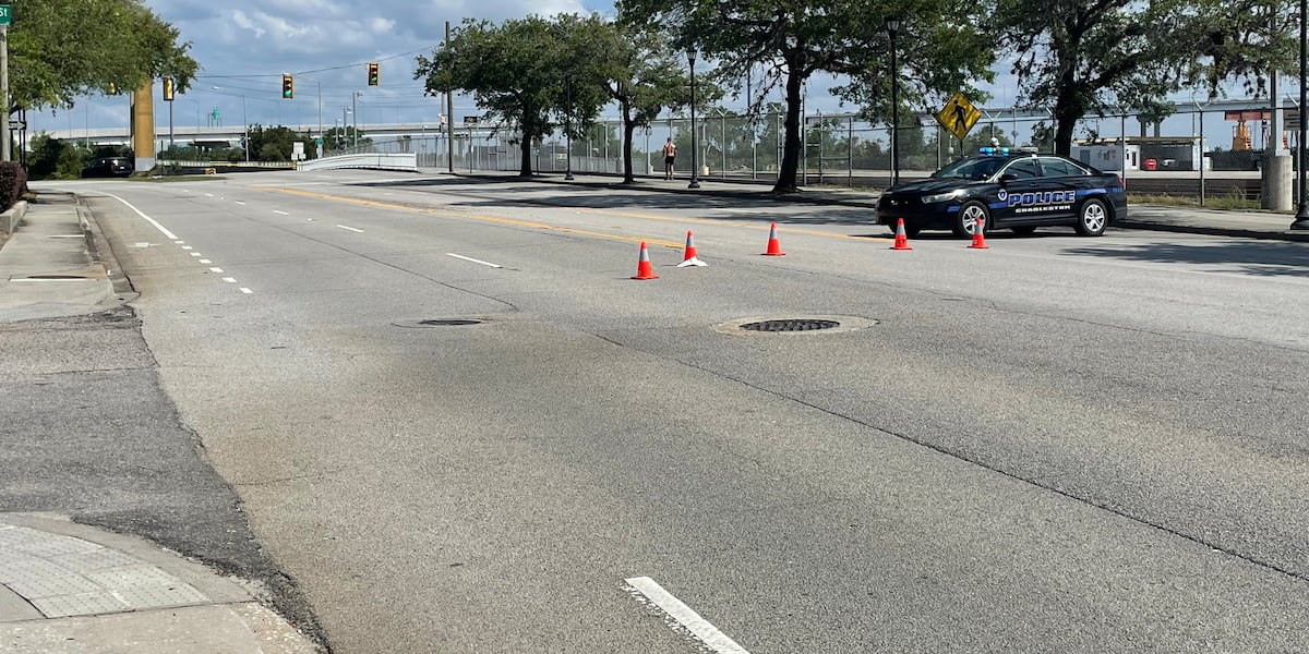 Auto-pedestrian crash with two fatalities was a hit-and-run, police say – Live 5 News WCSC