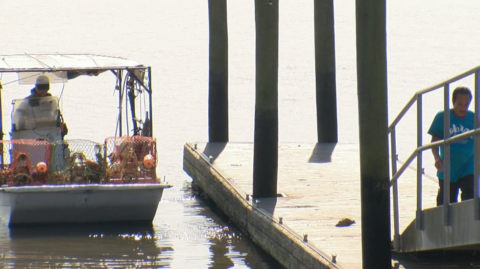 Fishermen have used the Bushy Park Landing for decades to support their businesses and...