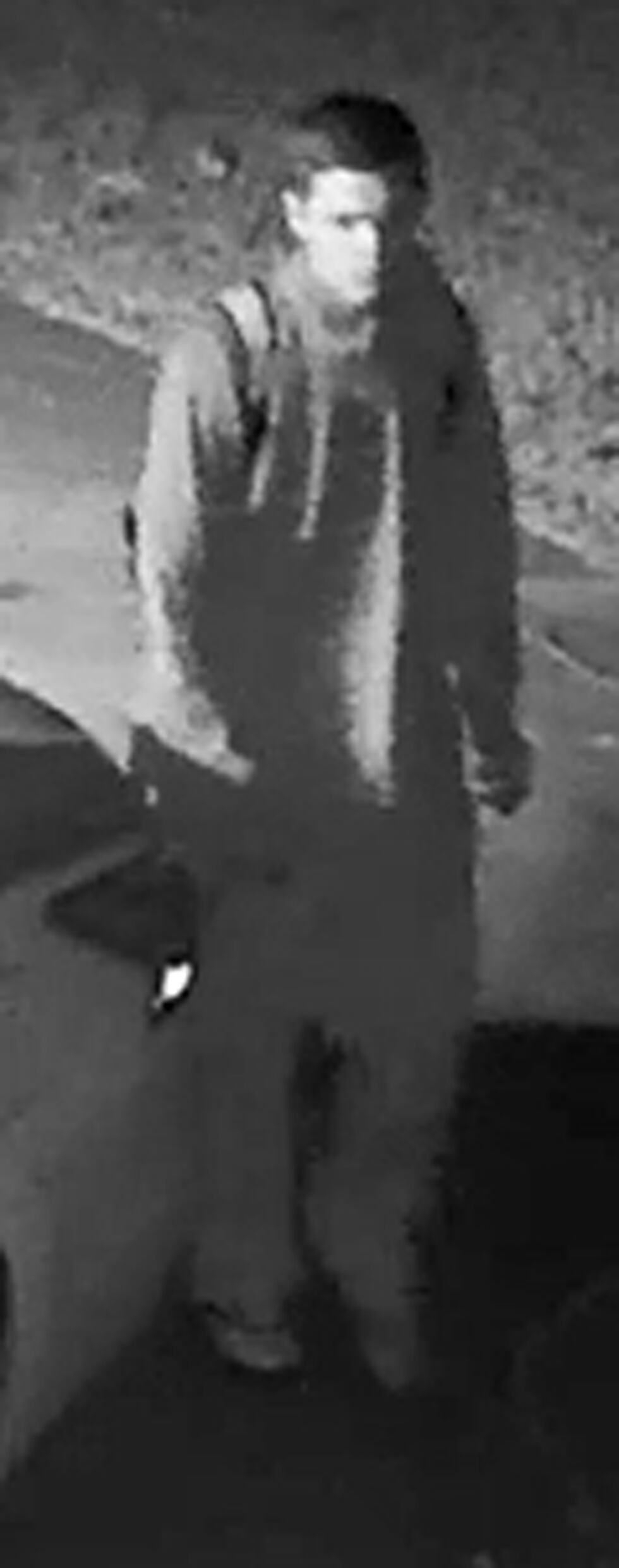 Picture of the suspect. (Source: DCSO)