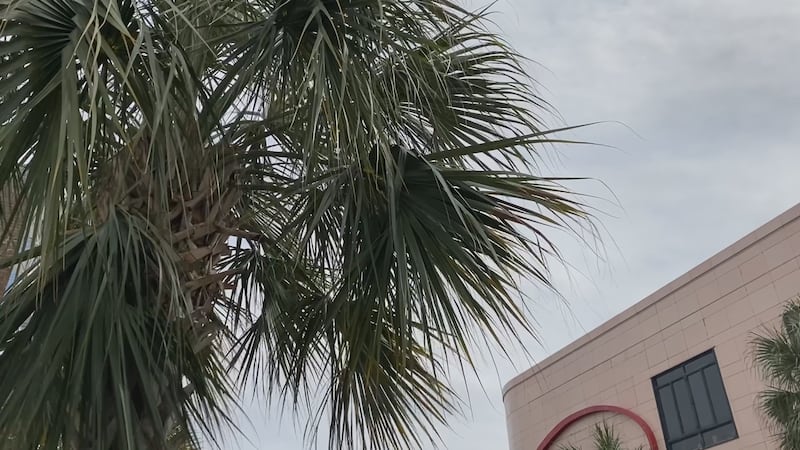 The City of Charleston has crews on standby in the case of severe weather on Thursday.