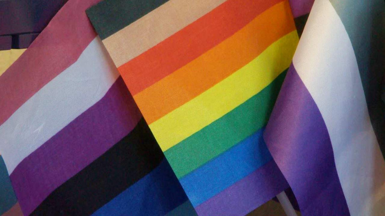 Lowcountry LGBTQ+ advocates talk political climate ahead of pride month - Vimarsana News