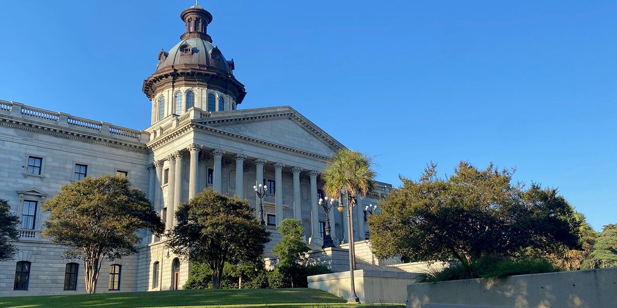 Lawmaker wants to end sales tax on some ammunition in South Carolina Lawmaker wants to end sales tax on some ammunition in South Carolina
