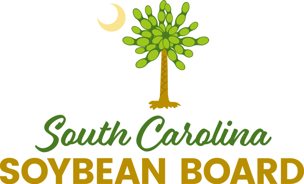 Soybean