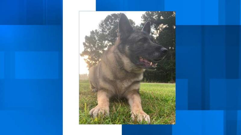 In a Facebook post, the sheriff’s office announced the passing of retired K-9 Dixi.