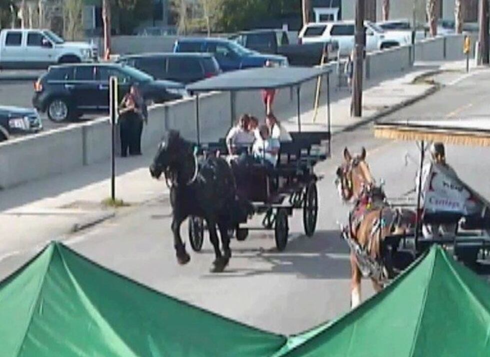 Still picture from raw video of the horse carriage speeding through downtown Charleston.