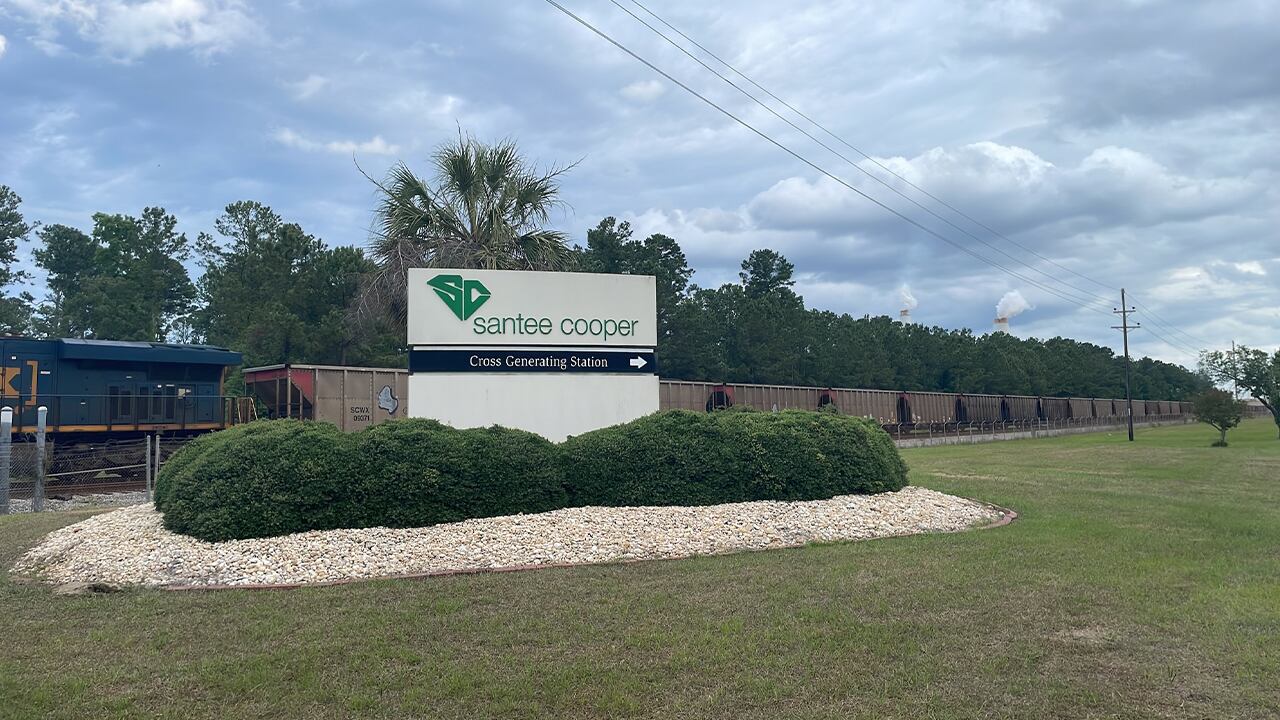 Authorities investigating after skeletal remains found at Berkeley Co. coal yard - Vimarsana News