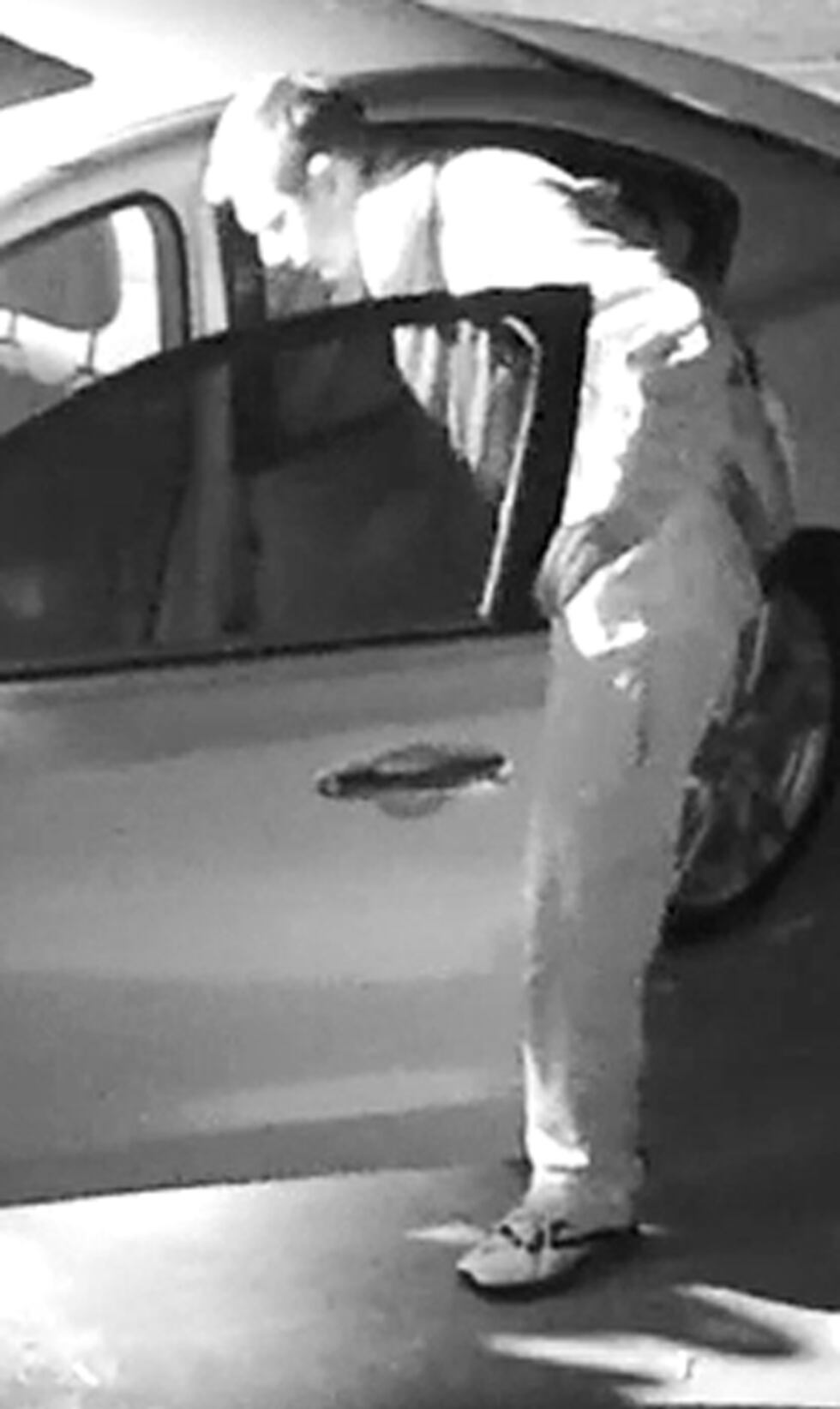 Picture of the suspect. (Source: DCSO)