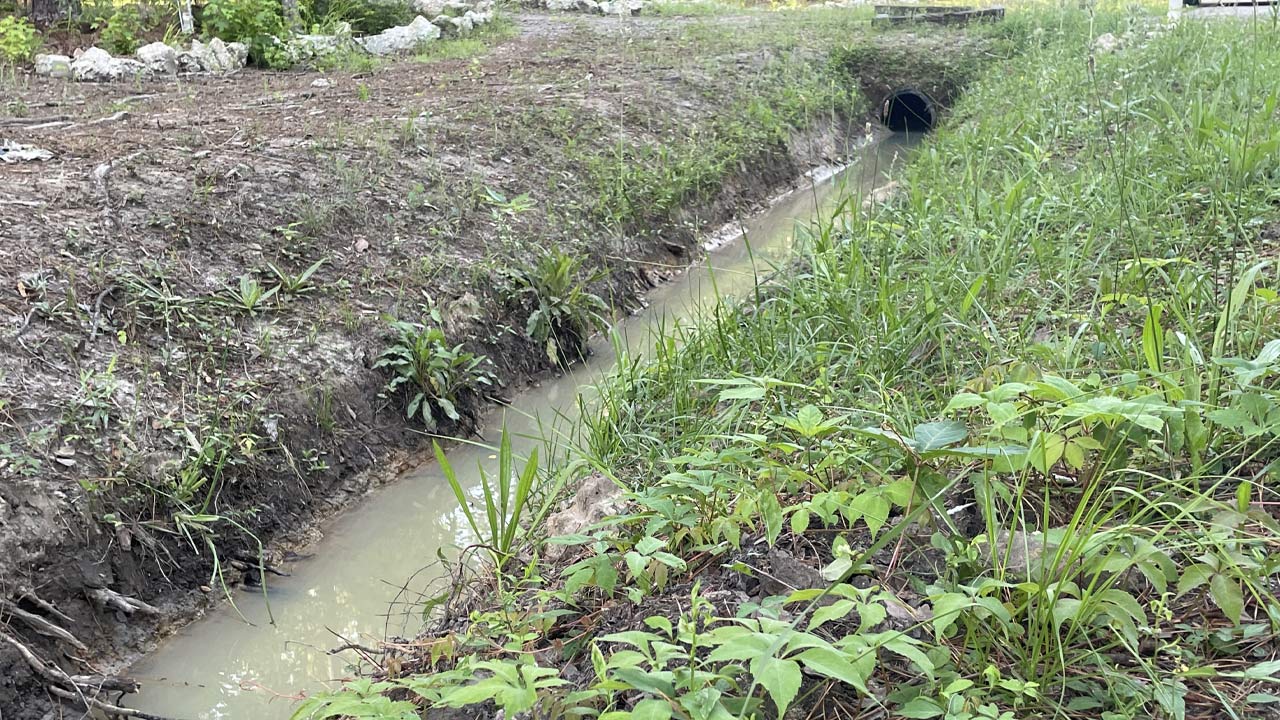 Residents of Summerville neighborhood want answers on ditch cleaning issues - Vimarsana News