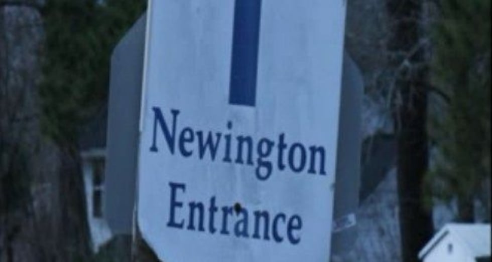 A parent volunteer at Newington Elementary School in Summerville says she saw a gun at the...