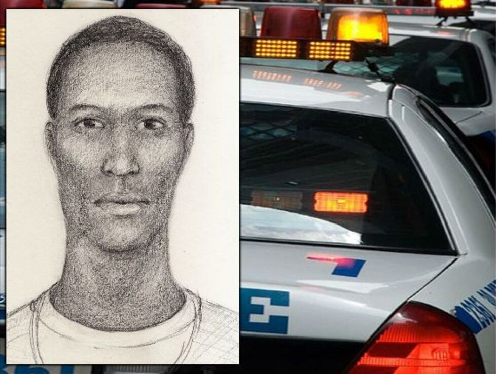 Sketch of one suspect in home invasion. (Source: GCSO)