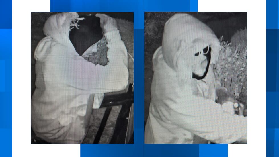 Security camera video depicts the person of interest of a deadly stabbing of a Holly Hill man...