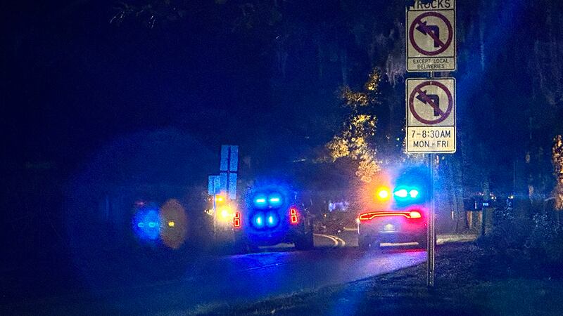Deputies say the crash happened around 10 p.m. on Fleming Road near Forest Lane on James Island.